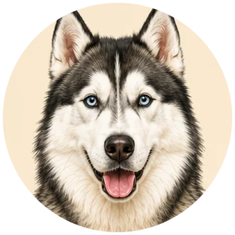 Husky
